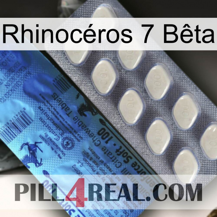 Rhinocéros 7 Bêta 34